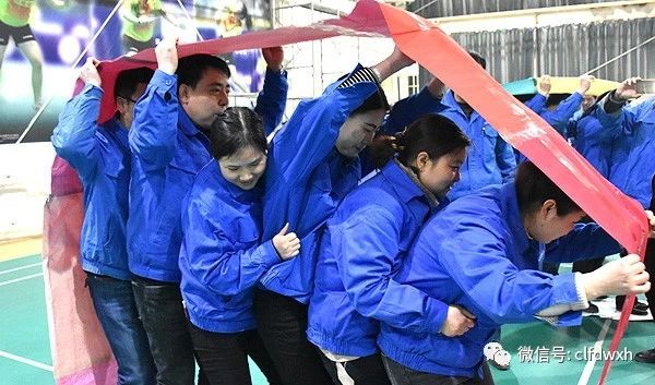 1550966986503890.jpg 0 (6).jpg