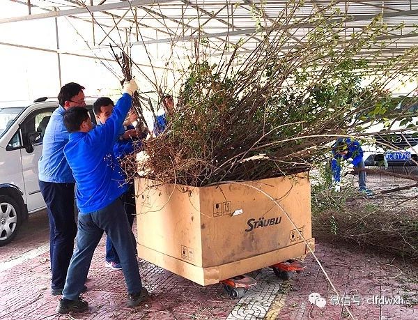 1554385442872947.jpg 0 (8).jpg