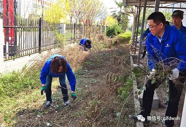 1554385489668395.jpg 0 (1).jpg