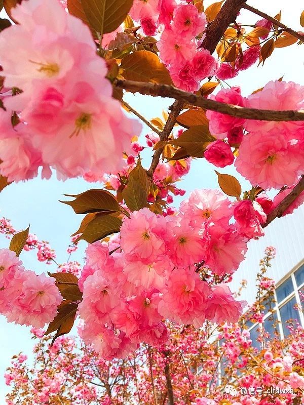 1554385545511461.jpg 0 (3).jpg