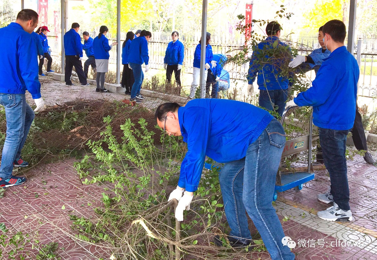 1554385611158629.jpg 0 (7).jpg